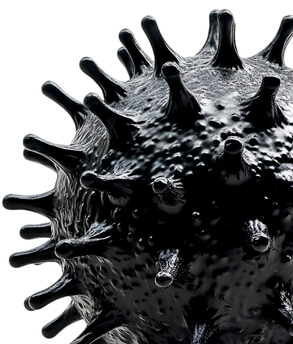 
                     
                       Удваивает поддержку иммунитета
                     
                     