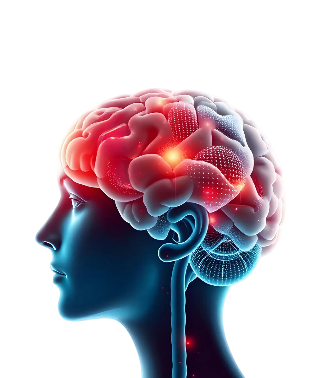 
                     
                       Подтвержденные возможности для ума
                     
                     