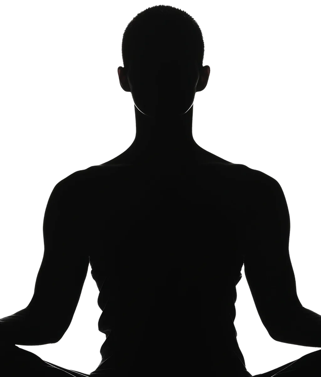 
                     
                       Гармония в ответ на стресс
                     
                     