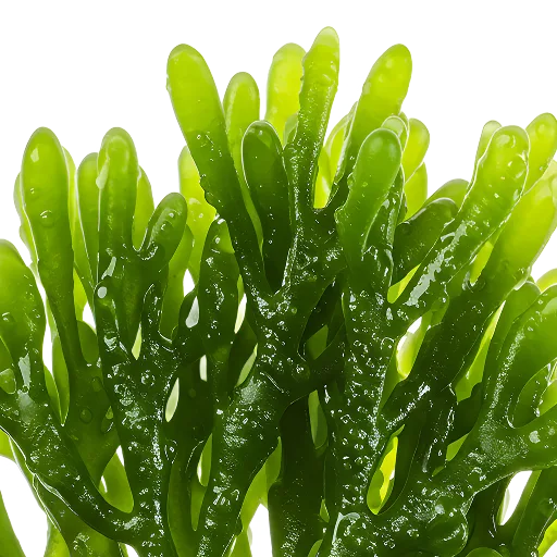 
                     
                       Насыщает нутриентами
                     
                     